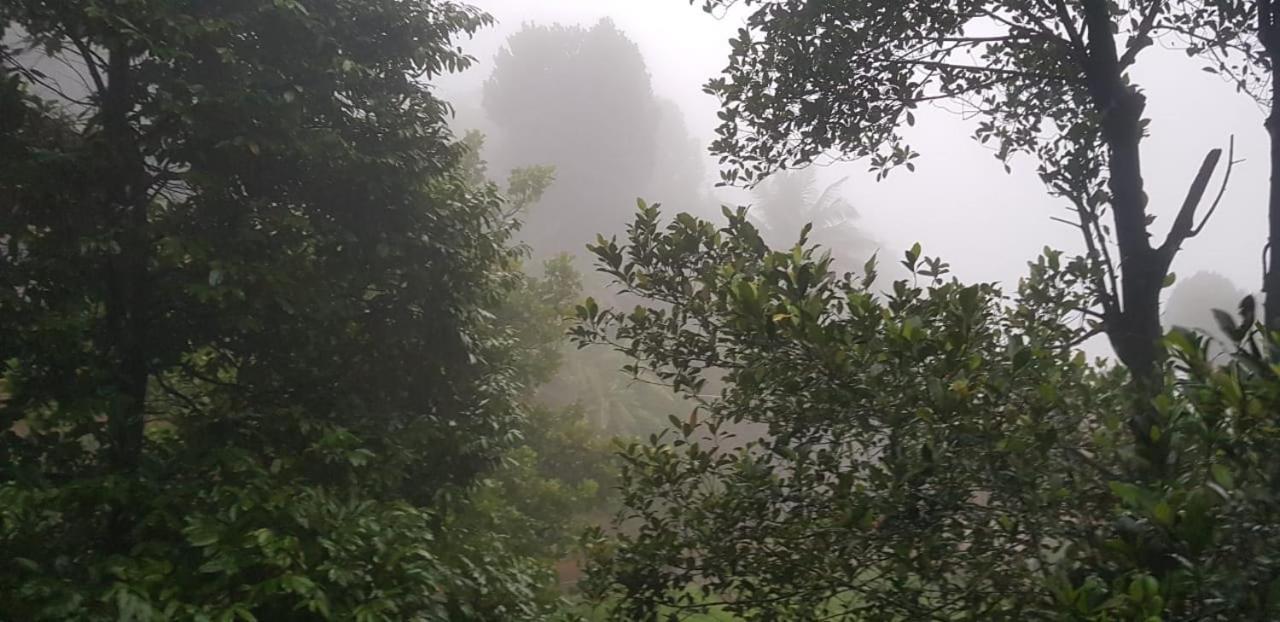 Wayanad Doubletree Villa Vythiri Exterior foto